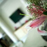 Hotel Prater
